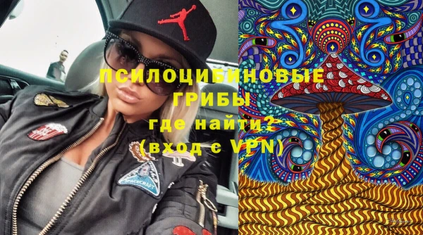 спиды Алзамай