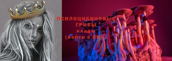 спиды Алзамай