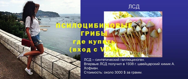 спиды Алзамай