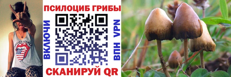 Галлюциногенные грибы мицелий OMG ссылка Раменское